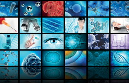 The science of 2024