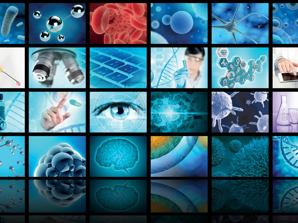 La scienza del 2024