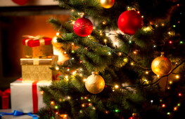 L’origine dell’albero di Natale: una tradizione millenaria