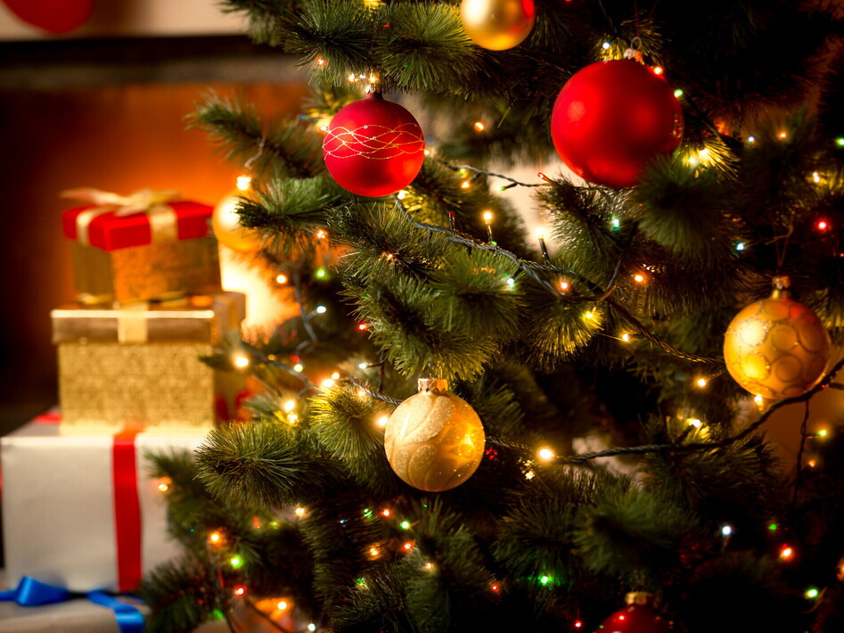  L’origine dell’albero di Natale: una tradizione millenaria
