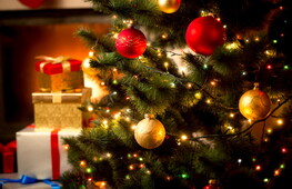 The origin of the Christmas tree: a millennia-old tradition