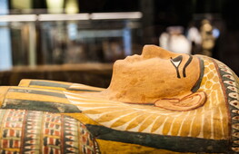 Medical scans reveal new secrets of egyptian mummies