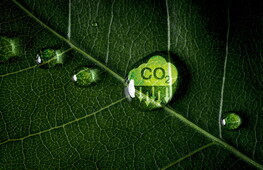 Un mare di CO2