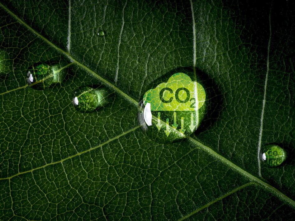 Un mare di CO2