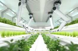 L'agricoltura del futuro