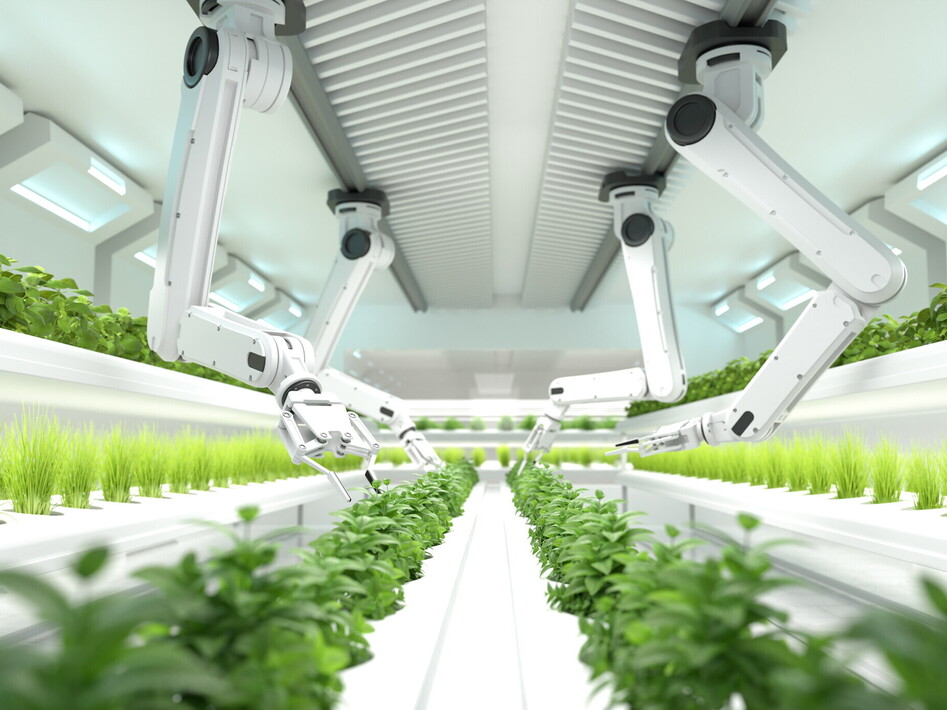 L'agricoltura del futuro