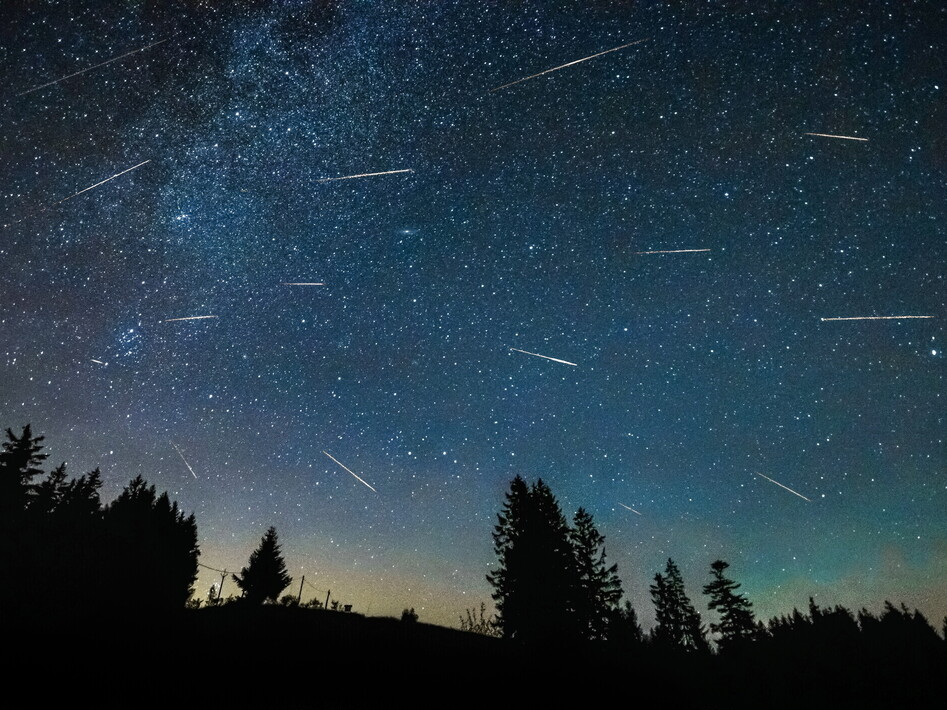 Stelle cadenti d'estate: la guida per non perdersi Delta Acquaridi e Perseidi