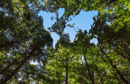 Earth Overshoot Day 2026