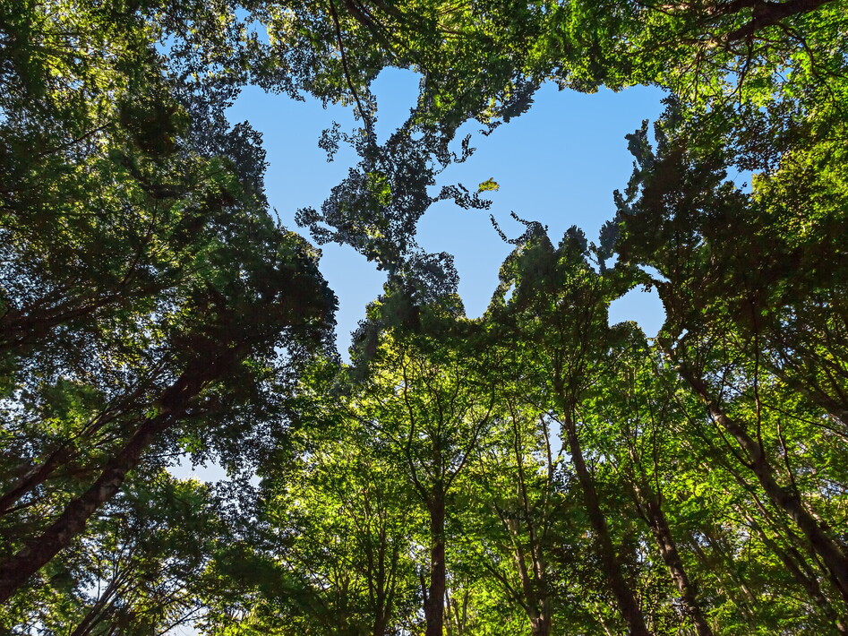 Earth Overshoot Day 2026