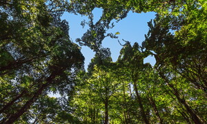 Earth Overshoot Day 2026