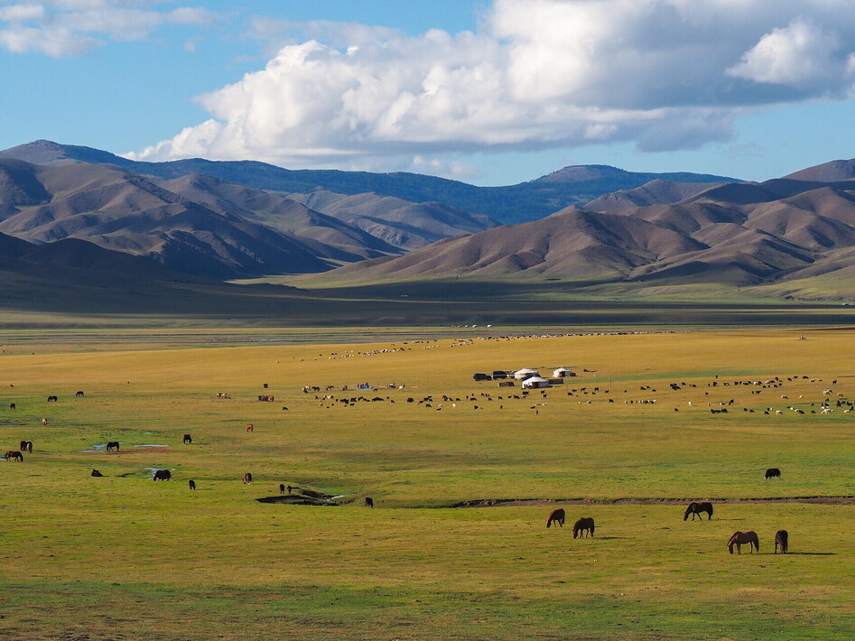 COP17, al via i lavori in Mongolia per contrastare la desertificazione