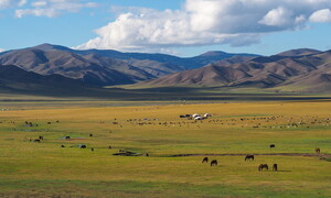 COP17, al via i lavori in Mongolia per contrastare la desertificazione