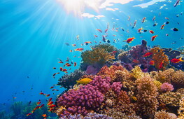 Biodiversità