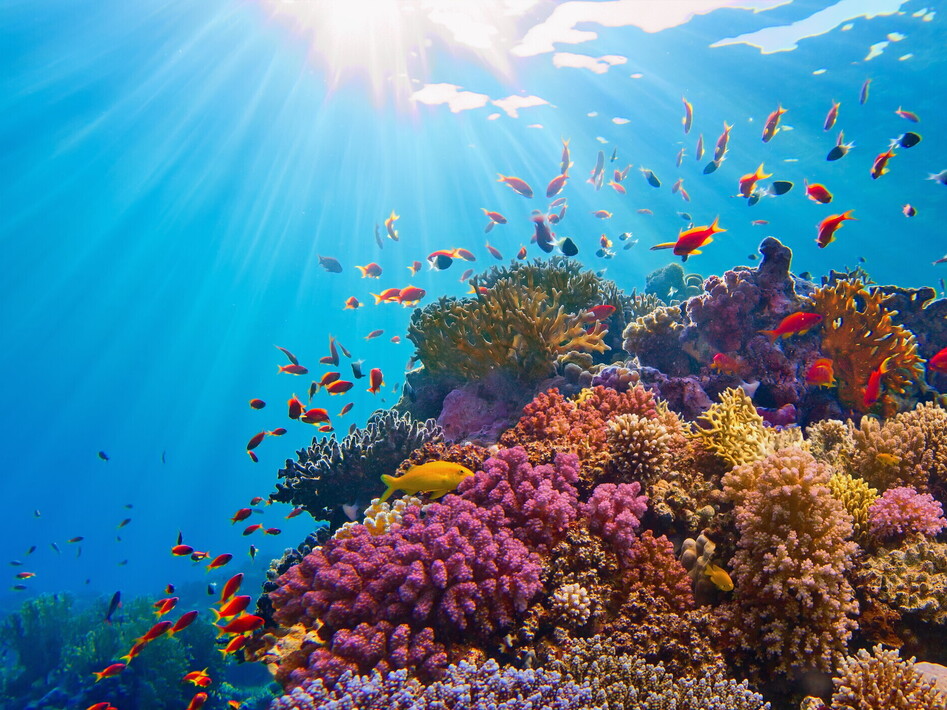 Biodiversità