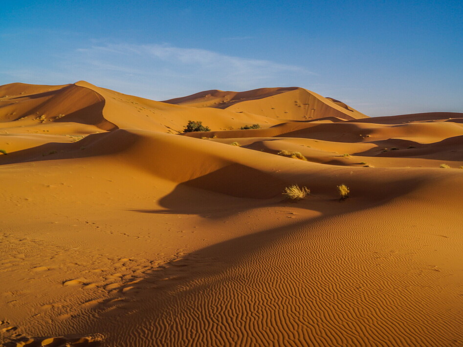 Il bioma deserto