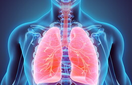 L’apparato respiratorio