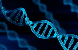 Il DNA