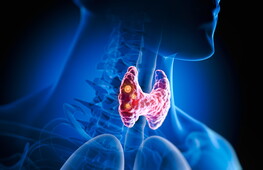 Il sistema endocrino