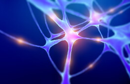 Un interruttore di luce per il cervello