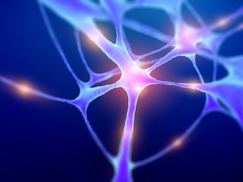 Un interruttore di luce per il cervello