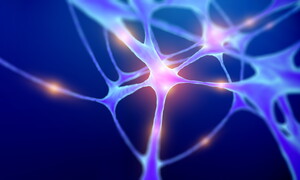 Un interruttore di luce per il cervello