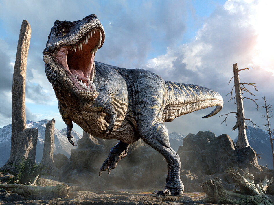 Il T. rex aveva la febbre? No, era a sangue caldo come noi
